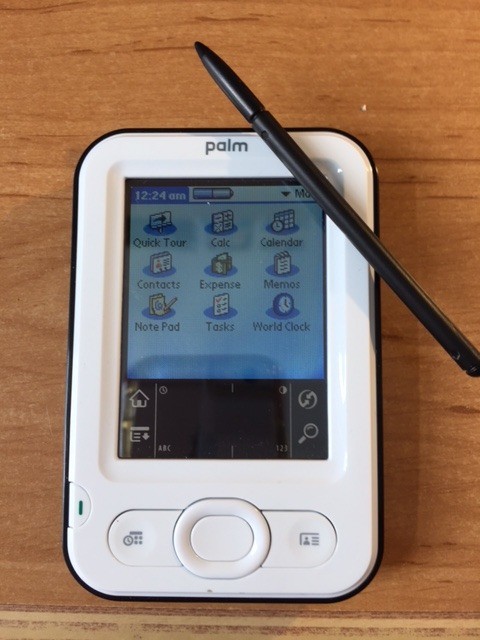 pilote palm z22